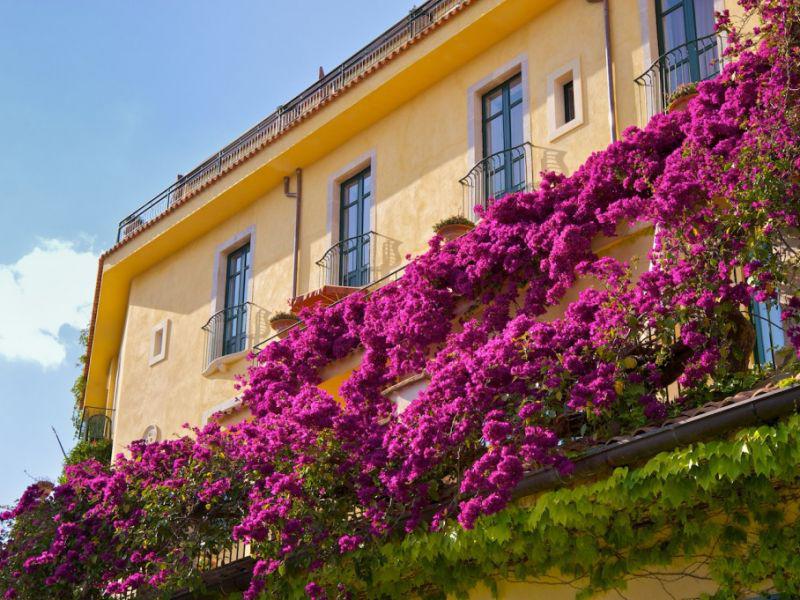 Villa Belvedere